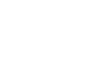 CV (.pdf)